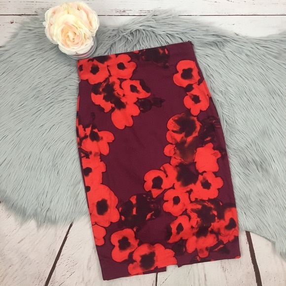 Zara Pencil Skirt - Picture 2 of 2